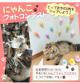 にゃんこフォトコンテストのデザイン